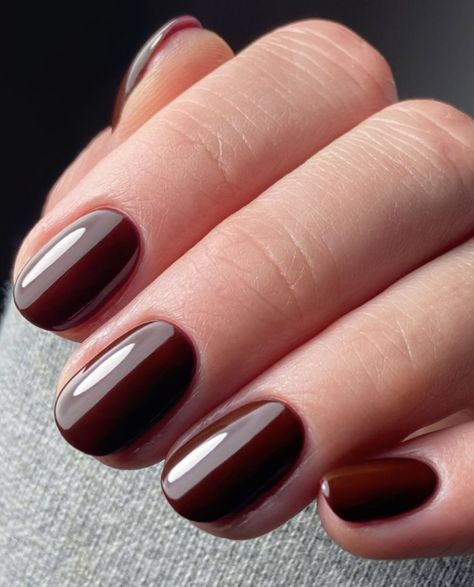 Fall Short Round Nails, Brown Oval Nails, Short Round Acrylic Nails, Short Rounded Acrylic Nails, Rounded Acrylic Nails, Short Round Nails, Mail Ideas, Round Nails, Dark Nails