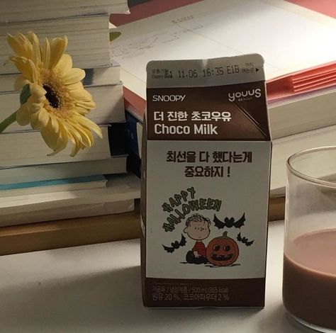 Choco Milk Milk Carton, Korean Aesthetic, Beige Aesthetic, Brown Aesthetic, Cute Food, Aesthetic Food, Chocolate Milk, Aesthetic Pictures, Snack Recipes