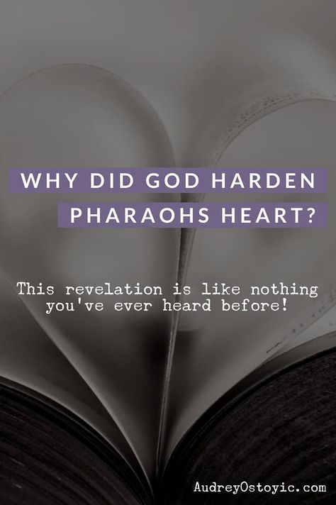 Hardened Heart, Exodus 7, Book Of Exodus, Give Me Strength, Letting Go Of Him, Trials And Tribulations, Small Talk, Prayer Warrior, Let God