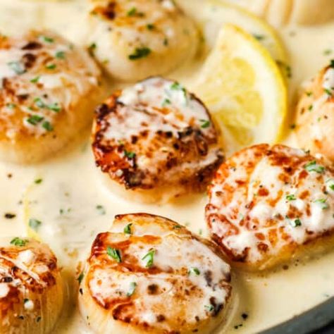 Seared Scallops in Lemon Cream - Spend With Pennies Creamy Scallops, Scallops Appetizer, Sauce For Scallops, Lemon Wine Sauce, Best Scallop Recipe, Lemon White Wine Sauce, Lemon Wine, Garlic White Wine Sauce, Butter Cream Sauce