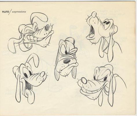 Pluto Sketch, Disney Character Sketches, Draw Faces, Cartoon Drawings Disney, Cartoon Drawings Of Animals, Drawing Animals, Animation Sketches, Disney Art Drawings, Disney Concept Art