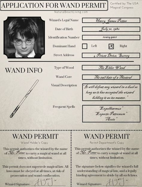 Harry Potter Wands Types, Wand Permit, Harry Potter Wands, Wand Holder, Elder Wand, Harry Potter Spells, Harry James, Harry Potter Wand, Harry James Potter