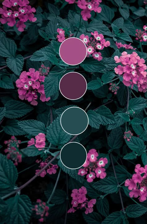 Dark Green And Purple Palette, Dark Green Pink Bathroom, Jewel Tone Color Palette Sherwin Williams, Hot Pink And Black Color Palette, Deep Magenta Aesthetic, Soft Goth Color Palette, Muted Purple Aesthetic, Dark Summer Color Palette, Jewel Tone Bathroom