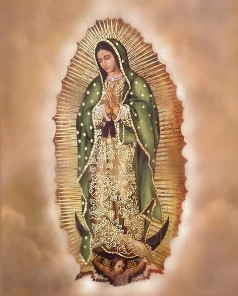 Lady Of Guadalupe Wallpaper, Mother Mary Drawing, Virgin Mary Birthday, Mother Mary Wallpaper, Virgin Mary Picture, Mary Jesus Mother, Mexico Wallpaper, Catholic Artwork, Mexican Artwork