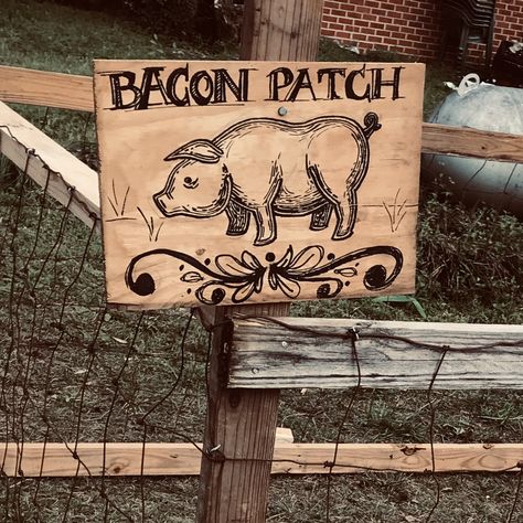 Backyard Pig Pen Ideas, Pigs And Chickens Together, Outdoor Pig Pen Ideas, Building A Pig Pen, 4h Livestock Pen Decorations, Pig Pin Ideas, Pig Fence Ideas, Kune Kune Pig Pen, Diy Pig Pen Outside