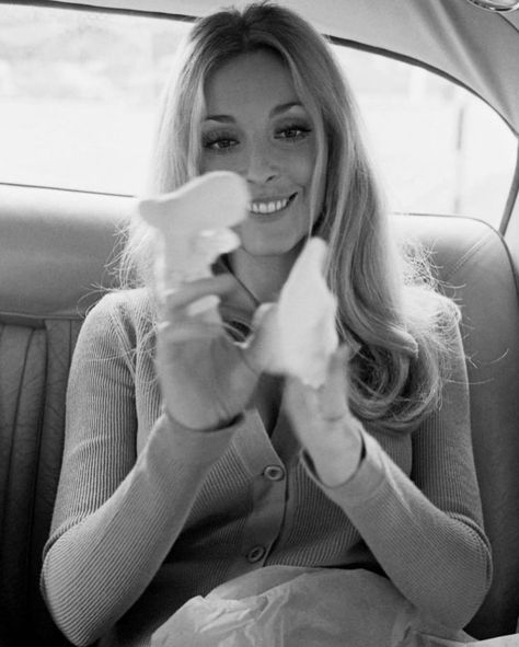 Sharon Tate on Instagram: “Mother-to-be Sharon Tate poses on two different occasions with her baby’s socks, she looked so happy putting them on her fingers....looking…” Late 60s Fashion, Terry O Neill, 60s Hippie, Lady Gaga Pictures, Sharon Tate, Old Hollywood Stars, Valley Of The Dolls, Angel Face, By Terry