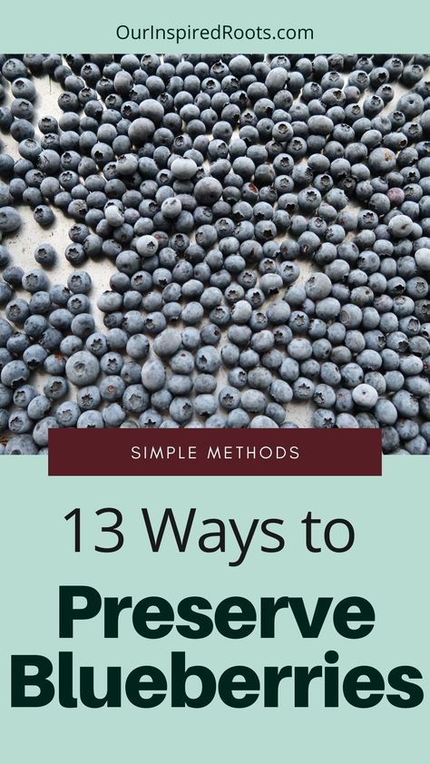 Preserve Blueberries, How To Freeze Blueberries, Saskatoon Recipes, Freeze Blueberries, Freezing Fruit, Highbush Blueberry, Canned Blueberries, Marmalade Recipe, Blueberry Season