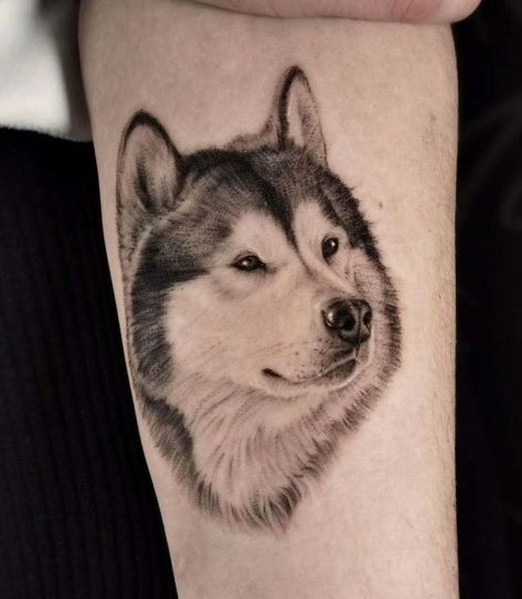 Malamute Tattoo, Husky Tattoo Simple, Husky Tattoo Design, Husky Portrait, Husky Tattoo, Malamute Husky, Tattoo Linework, Portrait Tattoos, Simple Portrait