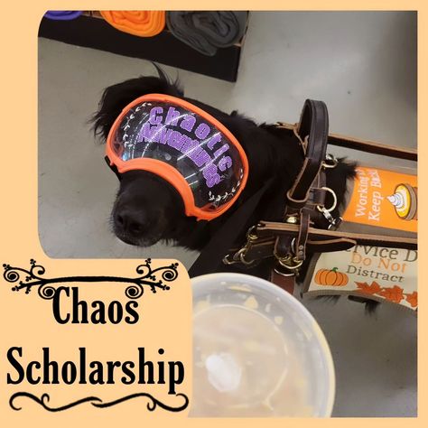 🌟 Introducing The Chaos Scholarship! 🌟 We’re thrilled to launch a program designed to support service dog teams who may not have the financial means to afford high-quality, essential gear. Our mission is to provide the equipment that can make a real difference in the daily lives and tasks of service dogs and their handlers. Whether for mobility, medical alert, or other vital services, having the right gear is crucial, and we want to ensure that financial hardship doesn’t prevent teams from g... Financial Hardship, Medical Alert, Service Dog, Dog Gear, Support Services, The Chaos, Service Dogs, Program Design, Product Launch