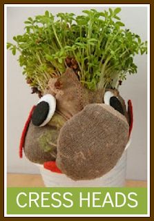 Jennifer's Little World blog - Parenting, craft and travel: How to make your own cress heads Cress Heads Kids, Cress Heads, Childrens Crafts, Love Craft, School Holidays, Flower Show, Planet Earth, How To Make Your, Holiday Fun