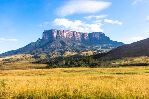 Angel Falls Venezuela, Monte Roraima, Mount Roraima, Travel Quiz, Paradise Falls, Photo Mount, Lost World, The Lost World, Waterfall Photography