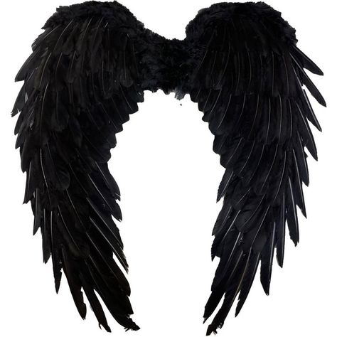 Soar into the darkness with Black Feather Wings. These elegant wings are crafted from feathers and a cotton-poly blend providing a dramatic and mysterious look. Perfect for angels of darkness or gothic fairies these wings are a must-have accessory. pbBlack Feather Wings product details:-b-p ul liSecures with elastic straps-li liFeathers and cotton-poly blend fabric-li liDoes not include costume-li liOne size fits most-li -ul Dark Angel Wings Costume, Hawk Halloween Costume, Crow Wings Costume, Wings For Costume, Raven Bird Costume, Gothic Fairy Costume, Dark Fairy Wings, Black Wings Costume, Dark Angel Wings