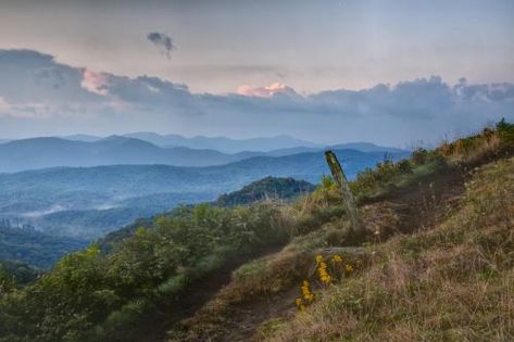 Asheville Hikes, Max Patch, The Appalachian Trail, North Carolina Mountains, Appalachian Trail, Blue Ridge Mountains, Travel Sites, Great Smoky Mountains, Beautiful Mountains