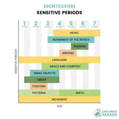 A chart laying out the Montessori sensitive periods from birth to age six. Montessori Sensitive Periods, Montessori Care Of Environment, Montessori Schedule, Montessori Works, Eyfs Curriculum, Education Philosophy, Montessori Theory, Teaching Letter Sounds, Early Childhood Education Programs