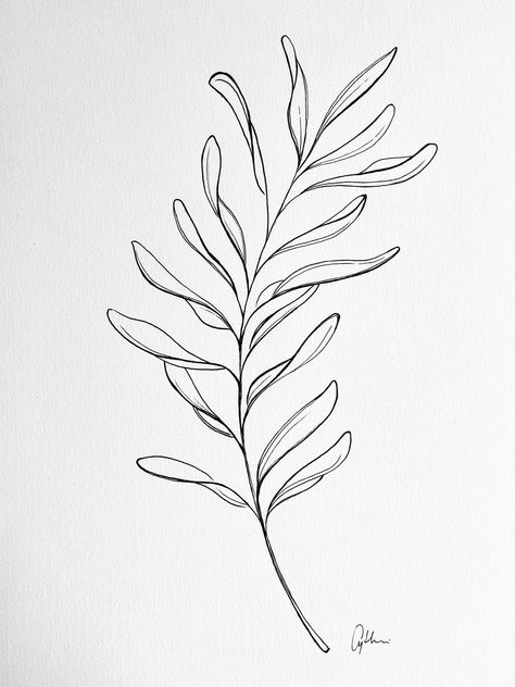 Tanaman Air, Simple Line Drawings, Botanical Tattoo, Flower Sketches, Soyut Sanat Tabloları, Leaf Drawing, Floral Drawing, Plant Drawing, Plant Illustration