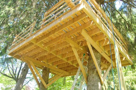 Treehouse Design Architecture, Tree House Deck, Pallet Tree Houses, Treehouse Construction, Treehouse Design, Backyard Treehouse, Outdoor Forts, Modern Tree House, Tree Building