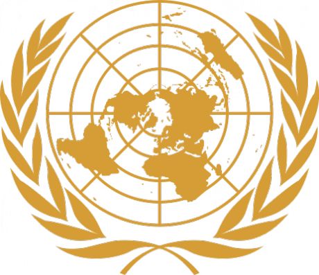 The United Nations logo United Nations Logo, Un Flag, United Nations Flag, United Nations Security Council, United Nations General Assembly, Industrial Development, Gold Stickers, Womens History Month, Private Sector