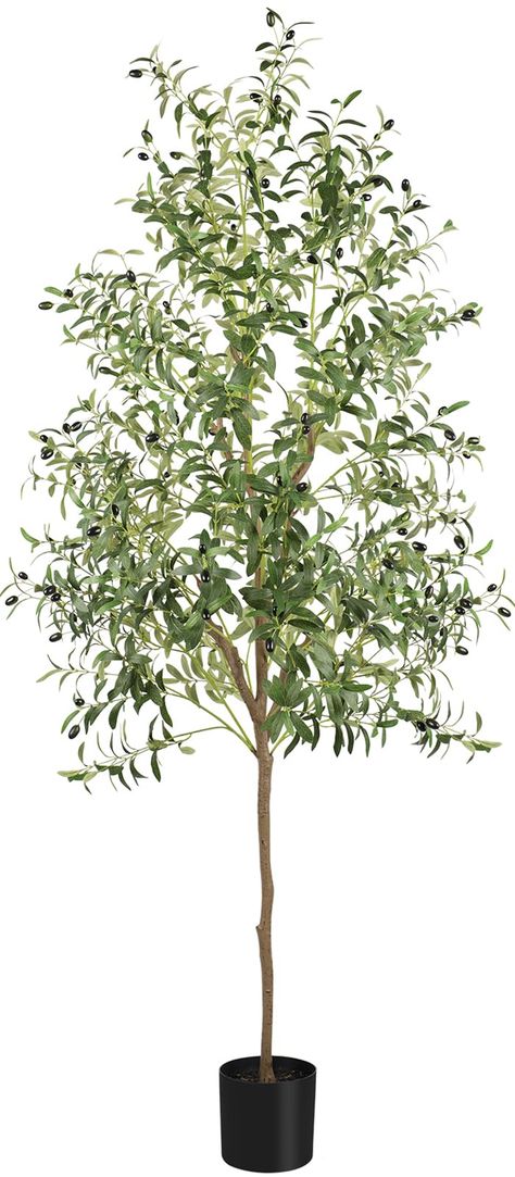 PRICES MAY VARY. 🌲【Premium Quality】 This fake olive tree is made of durable and premium polyester material. The base is made of solid cement mixture which can prevent children or pets knocking it down. Finally, add concrete to its surface to mimic real dirt. 🌼【Lifelike Artificial Plant】Carefully imitate the appearance of real-life plants. Green leaves and strong&smooth trunks make this faux silk plant lifelike. Our artificial olive tree will let you feel the presence of nature and vigorous gre Faux Tree In Living Room, Olive Tree Indoor Living Rooms, Olive Tree Wedding Decor, Fake Tree Decor Living Room, Artificial Trees Indoor Decor, Dining Room With Plants, Best Faux Trees, Olive Tree Indoor, Fake Olive Tree