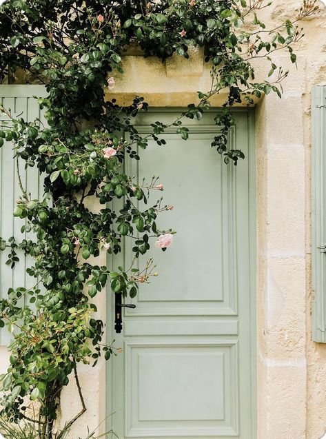 Provence France Travel, Sage Aesthetic, Sage Green Aesthetic, Green Aesthetics, Mint Green Aesthetic, Sage Green Wallpaper, France Travel Guide, Green Paint Colors, Color Aesthetic