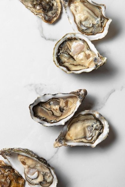 Oyster Still Life, Oyster Food Photography, Oyster Photoshoot, Oysters Aesthetic, Oyster Wallpaper, Bistro Design, Oyster Roast, Food Videography, Mood Board Interior