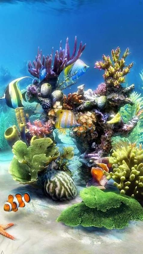 Aquarium Wallpaper, Skull Wallpaper Iphone, Underwater Tattoo, Sea Life Wallpaper, Mermaid Background, Ocean Plants, Amazing Aquariums, Underwater Painting, Underwater Art