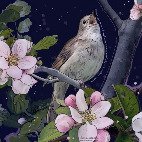 Nightingale Bird, Nature Wonders, Anna Mason, Digital Art Journal, Apple Flowers, Sky Art Painting, Free Classes, Long Flight, Inner Critic