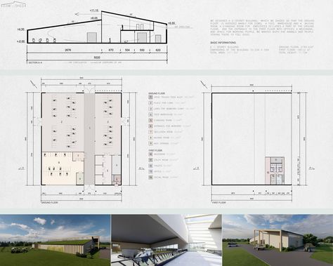 COW SHED | Architecture Project Cow Shed Design, Cattle Housing, Poultry Farm Design, Shed Architecture, Shed Design Plans, Shed Floor Plans, Cow Shed, Cow House, Space Lighting