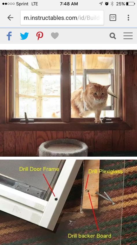 Door With Cat Door, Outside Cat Shelter, Catio Plans, Cat Habitat, Plexiglass Panels, Friend Things, Cat Patio, Cat Flap, Dog Fun