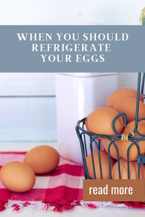 Your grandma might have left eggs on the counter, but you should know two things before you do the same. Eggs On Counter, Store Refrigerator, Critical Questions, Runny Eggs, Egg Shop, Pasture Raised Eggs, Homesteading Skills, Farm Eggs, Egg Laying