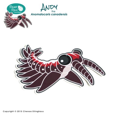 Paleo Pals® Andy the Anomalocaris - Standard Sticker 4" $2.75  Ever wanted to share your nerdy love for paleontology? Now you can satisfy your craving for prehistoric humor with our stickers! Anomalocaris Tattoo, Cambrian Animals, Cambrian Explosion, Wrong Generation, Animated Art, Pin Ideas, Hollow Art, D&d Miniatures, Adventure Time