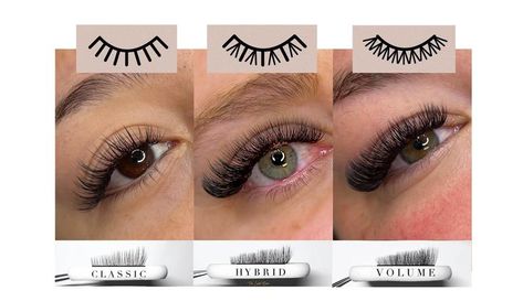 Hybrid Lash Extensions Lash Extensions Guide, Lash Extensions Classic, Hybrid Lash Extensions, Classic Lash Extensions, Hybrid Lashes, Permanent Eyelash Extensions, Semi Permanent Eyelashes, Eyelash Technician, Volume Lash Extensions