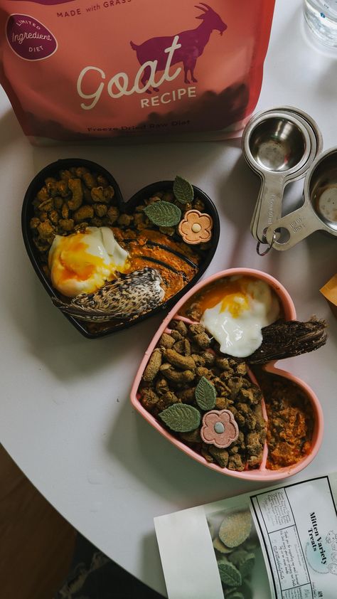 Happy foodie Friday! We had a fun time filming this meal because it’s a little different than usual. Sometimes I forget to thaw out my dogs’ raw food so I hop over to the freeze dried, dehydrated, and other shelf stable options that I keep in our dog cabinet. For this meal I used: @wulfsnacks slow feeder bowls and daisy doodle cookies @greenjujukitchen freeze dried goat @portlandpetfood Turkey and Yams @mittenvarietytreats leaves (HICCUP15 to save) @grubsac quail wings Golden Groovin suppl... How To Make Raw Dog Food, Diy Raw Dog Food, Raw Dog Food, Dog Food, Homemade Dog Food With Quinoa, Feeding Raw For Dogs, Dog Cabinet, Freeze Dried Raw Dog Food, Slow Feeder