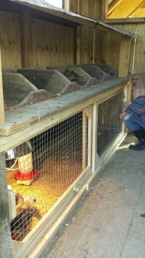 Brooder under nesting boxes in the coop. Features sliding doors! My husband is a genius! (Daniel B. you are the MAN!) Reban Ayam, Chicken Brooder, Chicken Pen, Chicken Nesting Boxes, Chicken Coop Run, Chicken Life, Chicken Coop Designs, Chicken Garden, Building A Chicken Coop