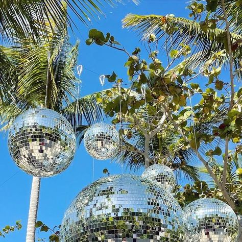 Wild Dilly Events on Instagram: "Tropical disco 🕺🏽🌴 #wilddillyevents" Disco Themed Pool Party, Tropical New Years Eve Party, Tropical Disco Aesthetic, Disco Pool Party Ideas, Disco Summer Party, Tropical Party Aesthetic, Disco Beach Party, Disco Ball Beach, Tropical Disco Party