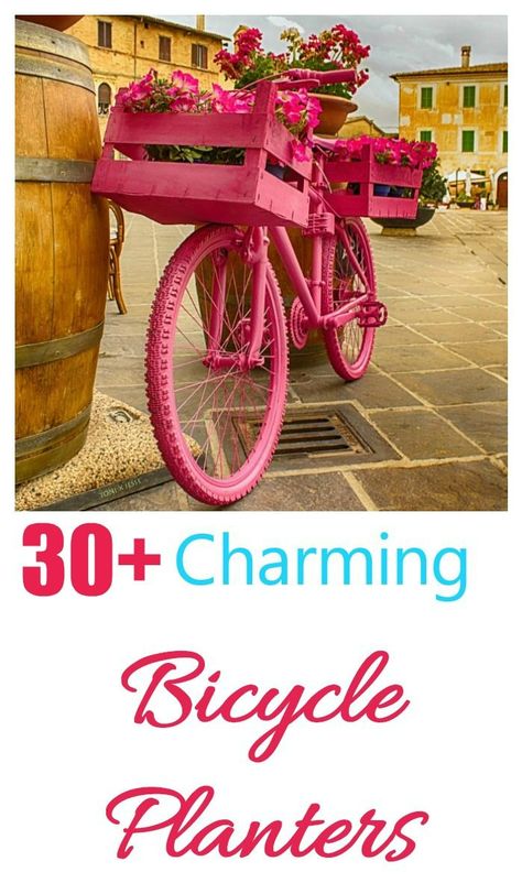 charming bicycle planters Garden Bicycle Ideas Yard Art, Bike Planter Ideas, Garden Bicycle Ideas, Old Bicycles Ideas Garden Art, Bicycle Garden Decor, Old Bikes In The Garden Ideas, Old Bicycle Garden Ideas, Bicycle Decorating Ideas, Bicycle Planter Ideas