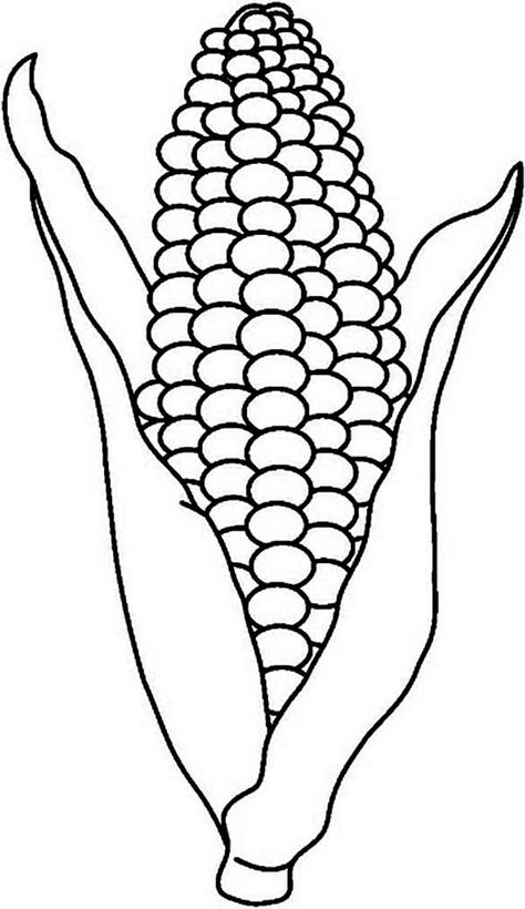 Roasting Corn Cob Coloring Page : Coloring Sun Corn Drawing, Rainbow Corn, Vegetable Coloring Pages, Fruit Coloring Pages, Indian Corn, Ears Of Corn, Corn On The Cob, Corn On Cob, Clipart Black And White