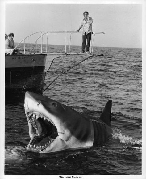 Jaws Film, Robert Shaw, Jaws Movie, Pet Sematary, White Sharks, Great Films, Great White Shark, Movie Monsters, Classic Horror