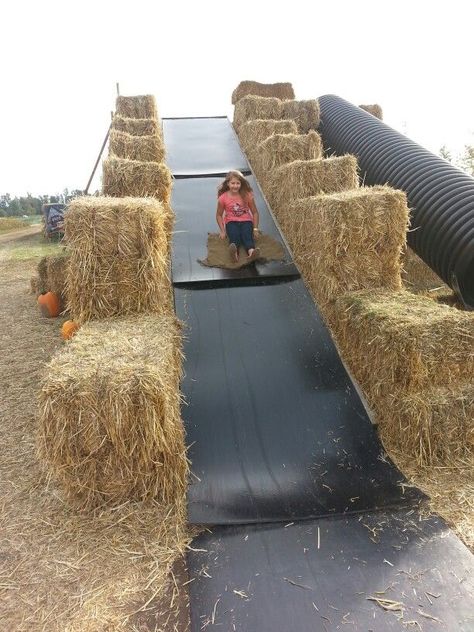 Hay Ride Ideas, Natural Outdoor Playground, Agritourism Farms, Green Bridge, Pumpkin Patch Farm, Activities For All Ages, Farm Day, Barn Parties, Farm Fun