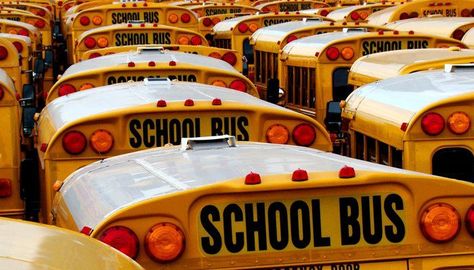 10 Things Your Kids' Bus Driver Wants To Tell You Bus Humor, School Bus Pictures, School Bus Driving, School Donations, Kids Bus, School Bus Safety, Bus Safety, Village School, Bus Driver Appreciation