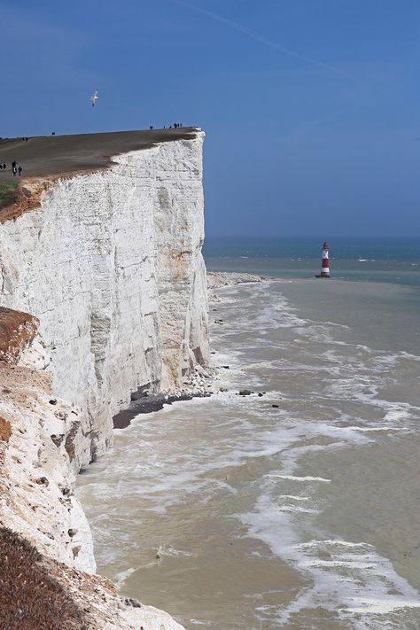 Beachy Head Lighthouse Big Family Organization, Seven Sisters Cliffs, Day Trip From London, Beachy Head, The Seven Sisters, Day Trips From London, Seven Sisters, English Channel, Best Life Advice