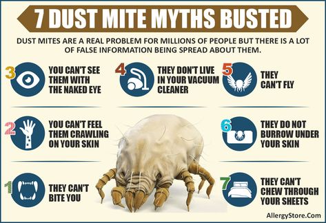 If you are reading this page, chances are you or someone in your family has been diagnosed with dust mite allergy. Find truth not myth here. Dust Mite Allergy, Bug Spray Recipe, Dust Allergy, Global Summit, Online Conference, Mold Removal, Myth Busted, Asthma Attacks, Bug Spray