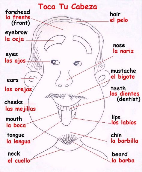 Spanish Words For Beginners, Preschool Spanish, Basic Spanish Words, Learn To Speak Spanish, Homeschool Spanish, Spanish Lessons For Kids, Spanish Basics, Learning Spanish Vocabulary, Spanish Worksheets