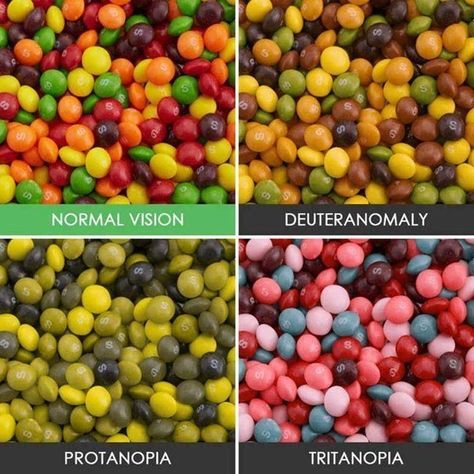 Photos That Show How People With Color Blindness See The World Color Vision Deficiency, Different Types Of Colours, Color Vision, Web Colors, Color Blind, Tulip Fields, Science Fair Projects, Color Spectrum, World Photo