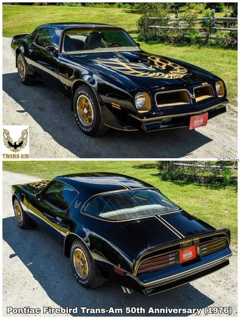 #Pontiac Firebird Trans Am 50th(1977) Auto Vintage, Chevy Ss, Hummer Cars, Pontiac Cars, Pontiac Firebird Trans Am, Cars Usa, Vintage Muscle Cars, Classic Cars Trucks Hot Rods, Best Muscle Cars