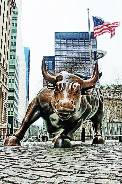 Forex Ideas, Wall Street Bull, Bull Statue, Bull Tattoo, Bulls Wallpaper, Charging Bull, Bull Painting, New York Stock Exchange, Bull Market