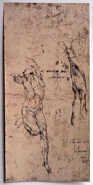 Michelangelo Drawings Sketches, Michelangelo Sketches, Michelangelo Anatomy, Classical Sketch, Michelangelo Drawings, Michelangelo Artwork, Master Sketches, Michelangelo Art, Figure Sketches