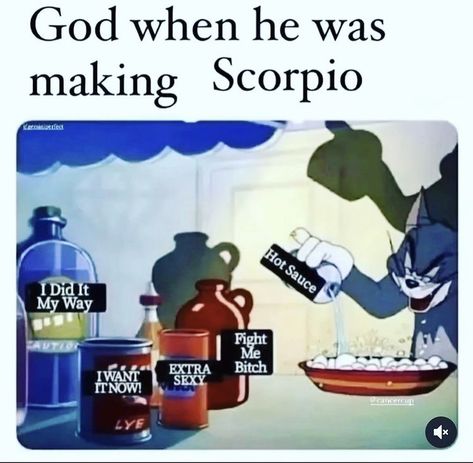 Scorpio Pictures, Zodiac Mind Scorpio, Scorpio Funny, Truth Questions, Zodiac Quotes Scorpio, Scorpio Traits, Astrology Reading, Zodiac Characters, Scorpio Love