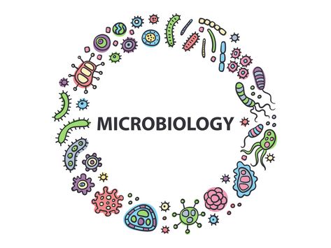 Microbiology logo by Vasilinka Pharmacy Art, Biology Diagrams, Microbiology Lab, Scanning Electron Micrograph, Physics Formulas, Cells And Tissues, Lab Logo, Biology Art, Technology Life