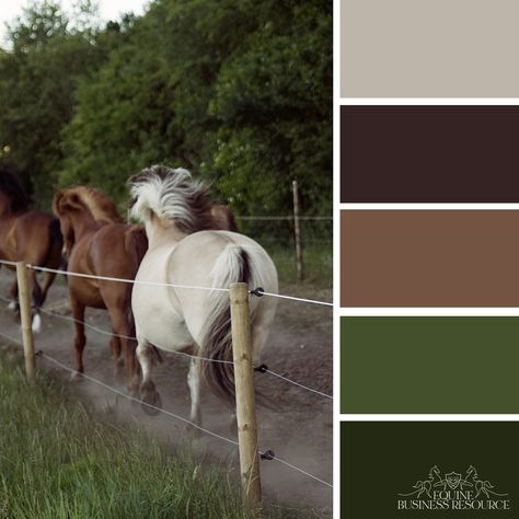 Western Aesthetic Color Pallet, Western Color Palette Ranch, Equestrian Mood Board, Equestrian Color Palette, Equestrian Website Design, Equine Logos, Horse House, Horse Brand, Beige Color Palette