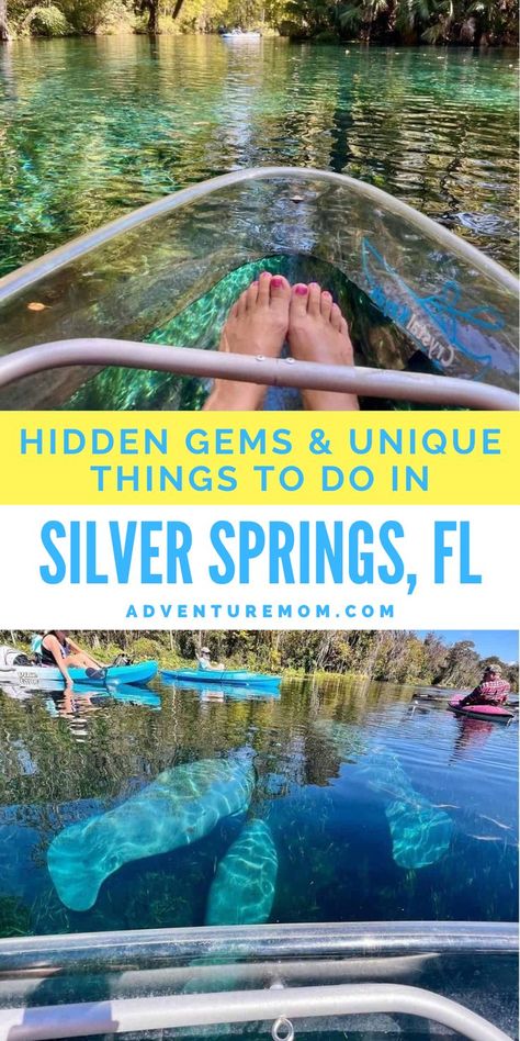 Silver Springs State Park Florida, Orlando Florida Things To Do, Ginnie Springs Florida, Silver Springs Florida, Florida Trips, Universal Studios Orlando Trip, Orlando Florida Vacation, Celebration Florida, Adventure Mom